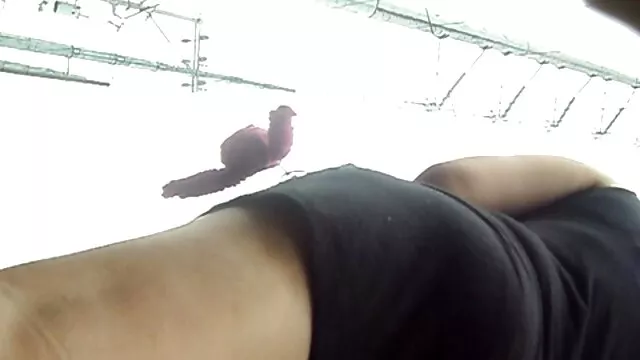 Porno chaud pas d'inscription  Beauté nue dans la video sexe amateur gratuit francais chatte et le cul