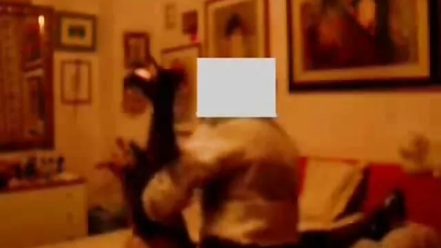 Porno chaud pas d'inscription  J'ai couple amateur francais mature installé une caméra cachée dans la chambre et j'y ai amené mon petit ami
